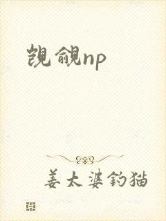 觊觎np