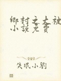 乡村之大被同眠小说免费