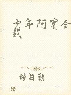 少年阿宾全集下载