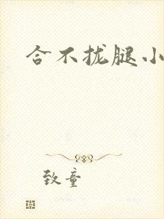 合不拢腿小说