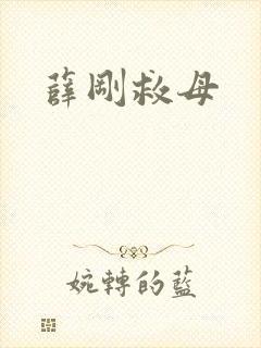 薛刚救母