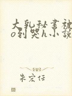 大乳秘书被cao到哭h小说封面