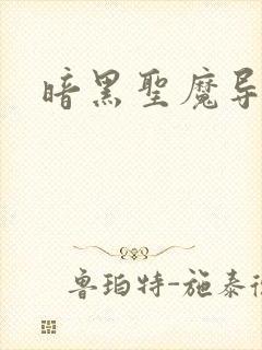 暗黑圣魔导