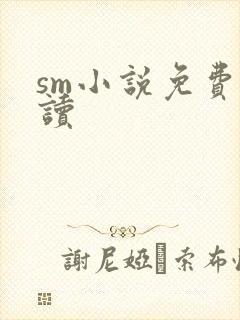 sm小说免费阅读
