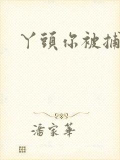 丫头你被捕了封面