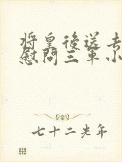 将皇后送去军营慰问三军小说封面