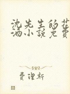 沈先生的花式调酒小说免费阅读