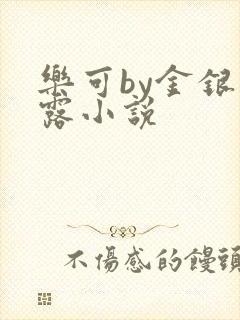 乐可by金银花露小说