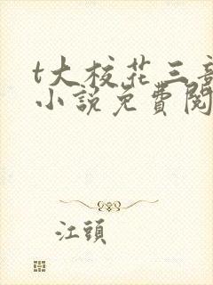 t大校花三部曲小说免费阅读全文