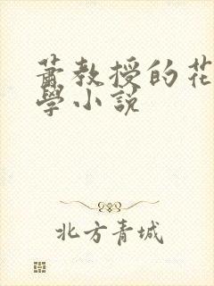 萧教授的花式教学小说