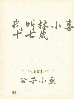 我叫林小喜今年十七岁