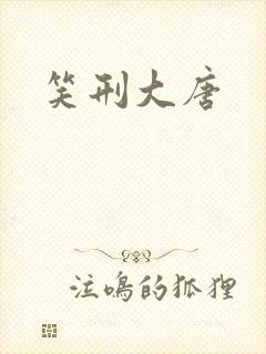 笑刑大唐封面