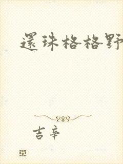 还珠格格野传