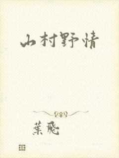 山村野情封面