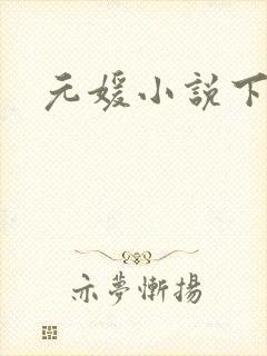 元媛小说下载
