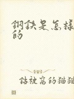 钢铁是怎样练成的封面