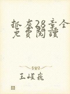抓灰28章全部免费阅读封面