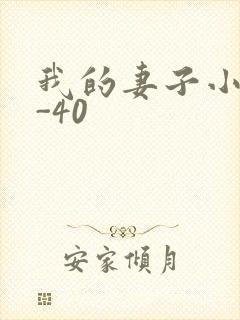 我的妻子小谨1-40