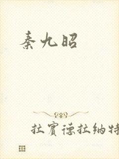 秦九昭封面