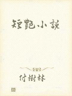 短艳小说封面
