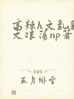 高辣h文乱乳h文浪荡np萧太后