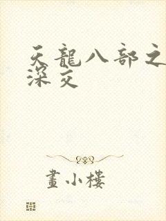 天龙八部之极乐深交封面