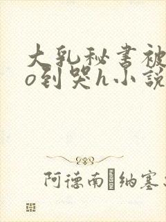 大乳秘书被cao到哭h小说