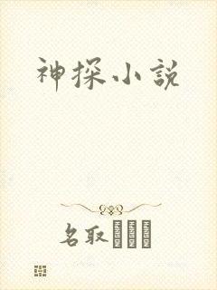 神探小说