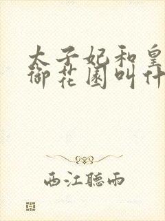 太子妃和皇帝在御花园叫什么小说封面