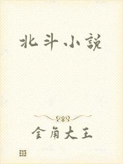 北斗小说