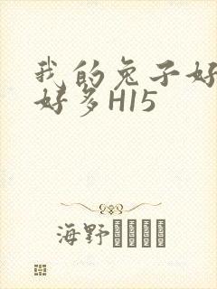 我的兔子好软水好多H15