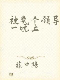 被几个领导玩弄一晚上