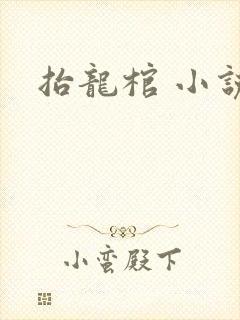 抬龙棺 小说封面