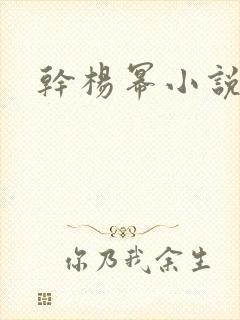 干杨幂小说