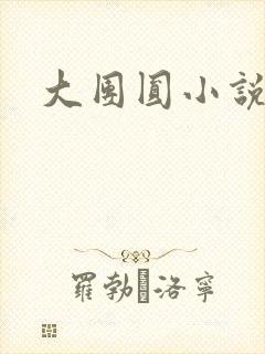 大团圆小说