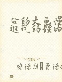 公的大龟慢慢挺进我的体内