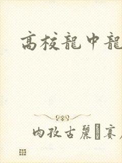高校龙中龙封面