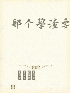 那个学渣要上天封面