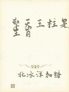 擎天玉柱是什么生肖