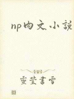 np肉文小说封面