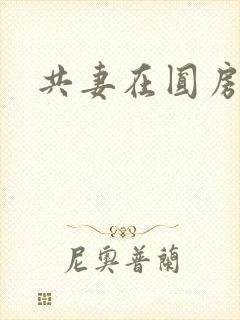 共妻在圆房3p