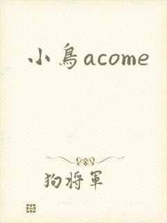 小鸟acome封面