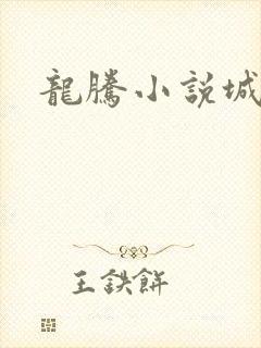龙腾小说城封面