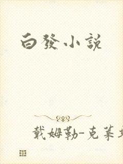 白发小说封面