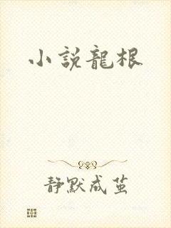 小说龙根