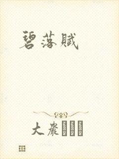 碧落赋封面