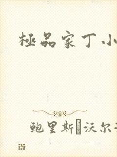 极品家丁小说