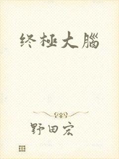 终极大脑