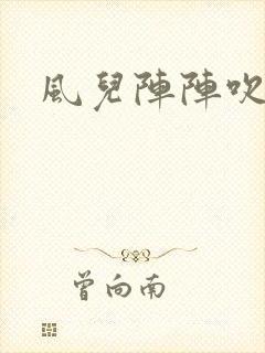 风儿阵阵吹