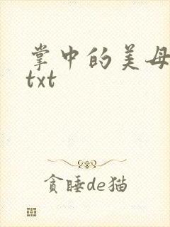 掌中的美母版主txt封面